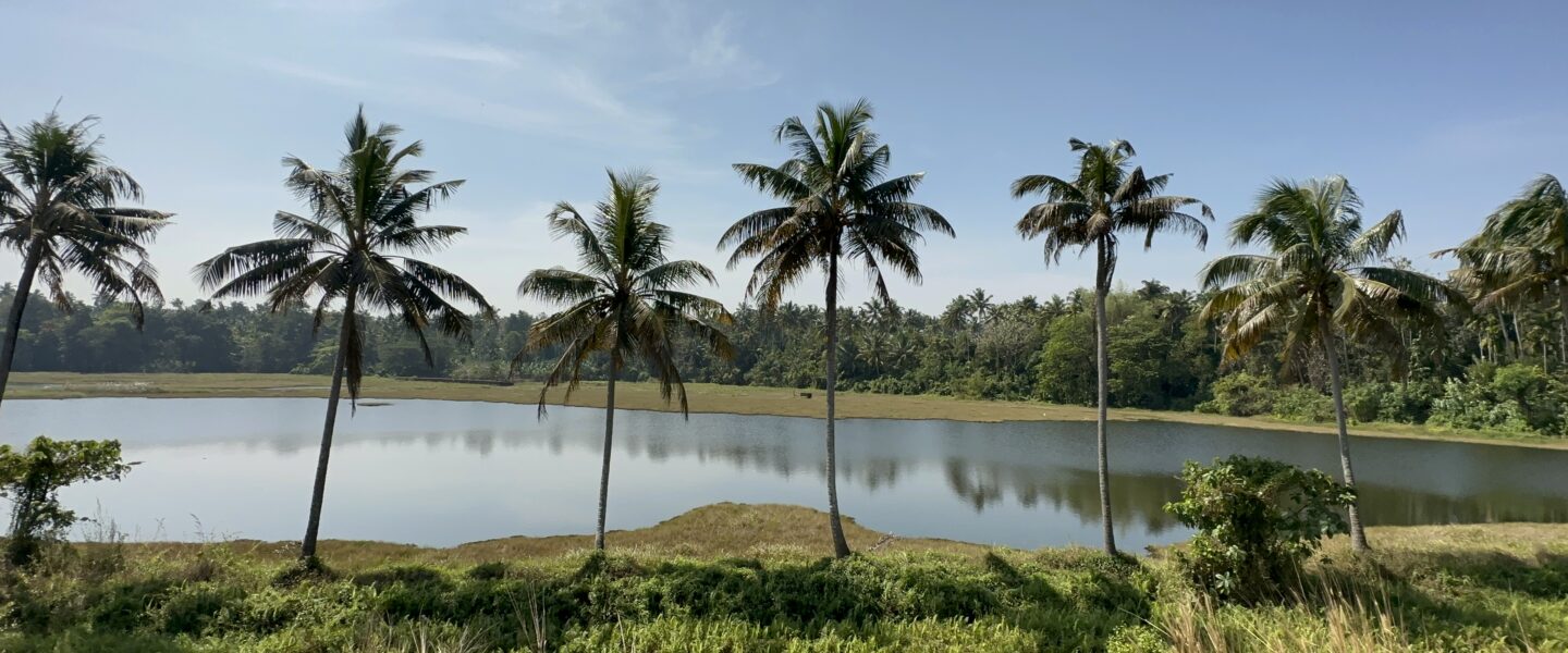 Kerala Beauty Pictures taken from a Train Journey…. കേരളത്തിലൂടെയുള്ള ട്രെയിൻ യാത്രയിലെ ചില മനോഹര കാഴ്ചകൾ .