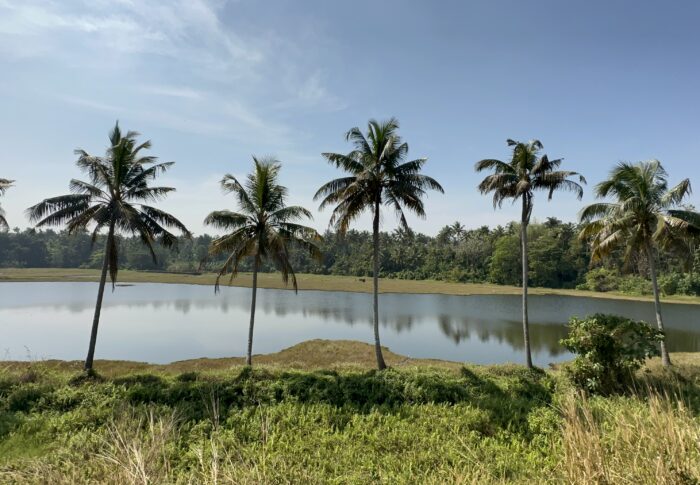 Kerala Beauty Pictures taken from a Train Journey…. കേരളത്തിലൂടെയുള്ള ട്രെയിൻ യാത്രയിലെ ചില മനോഹര കാഴ്ചകൾ .